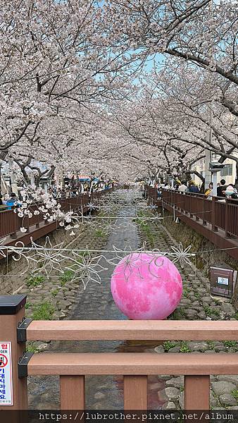 1680504045-610887075-g_n