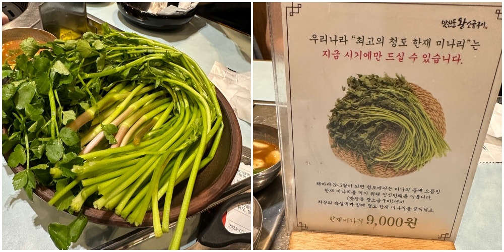 釜山必吃烤肉《3.5cm味贊王鹽烤肉맛찬들왕소금구이》春季限定水芹菜(미나리)、這個時間吃最優惠。 - 第7張圖 3.5cm味贊王鹽烤肉西面店(맛찬들왕소금구이서면점)
