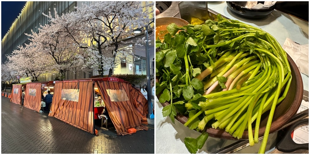 釜山必吃烤肉《3.5cm味贊王鹽烤肉맛찬들왕소금구이》春季限定水芹菜(미나리)、這個時間吃最優惠。 - 第1張圖