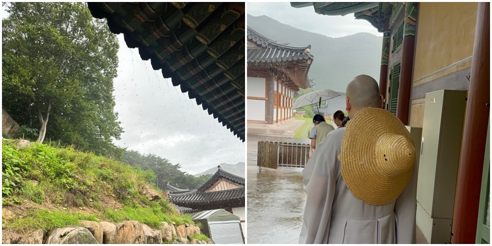 釜山梵魚寺-外國人在釜山體驗脫離塵世療癒之旅的寺廟寄宿 - 第9張圖