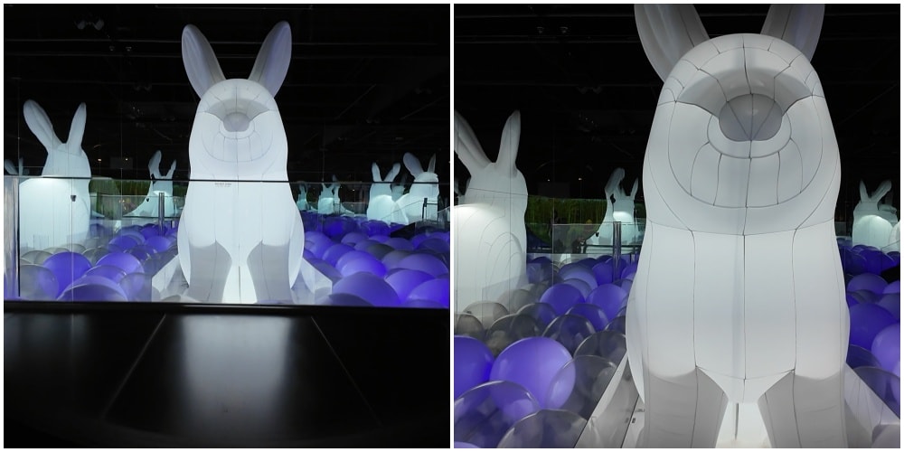 濟州島【ARTE MUSEUM】韓國最大沉浸式媒體藝術博物館,親子行程/下雨室內行程玩到爆。 - 第5張圖