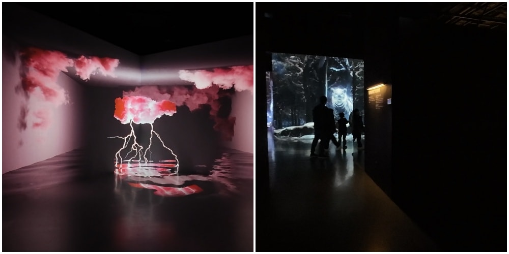 濟州島【ARTE MUSEUM】韓國最大沉浸式媒體藝術博物館,親子行程/下雨室內行程玩到爆。 - 第8張圖