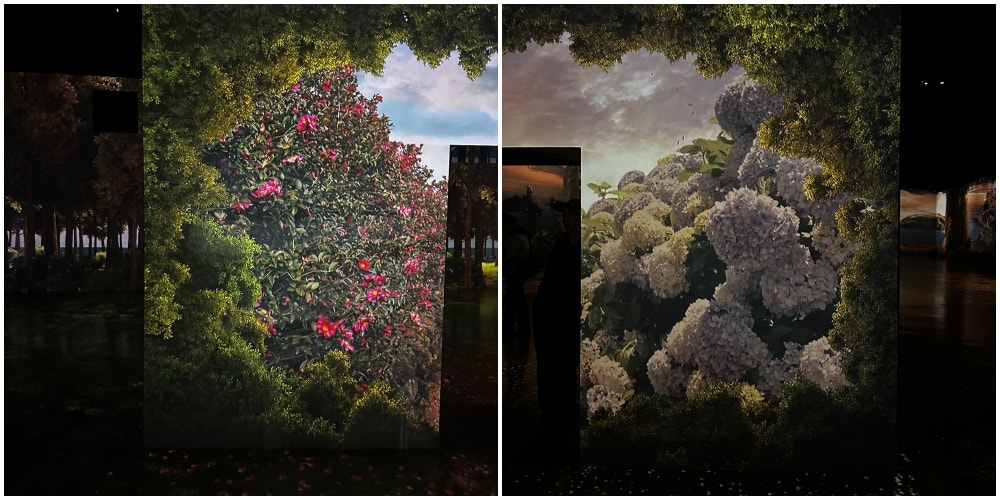 濟州島【ARTE MUSEUM】韓國最大沉浸式媒體藝術博物館,親子行程/下雨室內行程玩到爆。 - 第12張圖