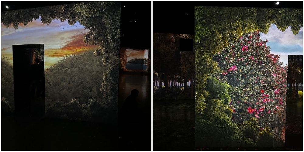 濟州島【ARTE MUSEUM】韓國最大沉浸式媒體藝術博物館,親子行程/下雨室內行程玩到爆。 - 第13張圖